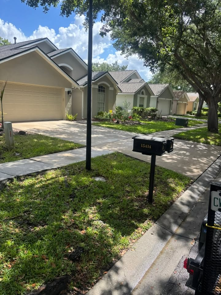 Driveway & Sidewalk Cleaning